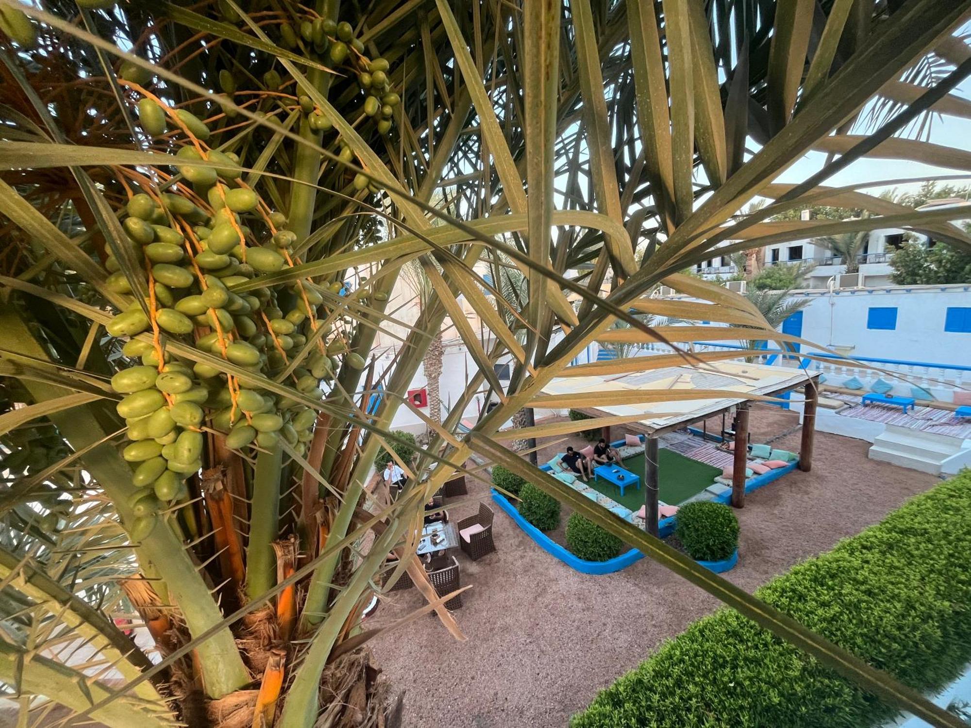 Auski Hostel Dahab Exterior photo